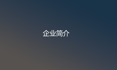 企业简介